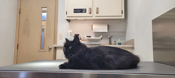 Mars Animal Depot Veterinary Picture 2