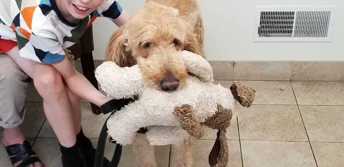 Good Shepherd Veterinary Hospital Picture 1