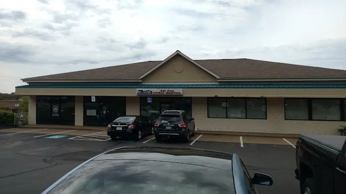 All Pet Animal Hospital Picture 3