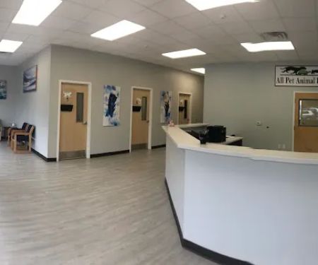All Pet Animal Hospital