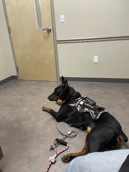 Seven Fields Veterinary Hospital Picture 1