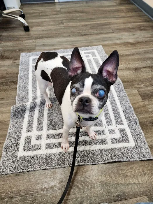 Windrose Animal Hospital & Urgent Care Picture 4