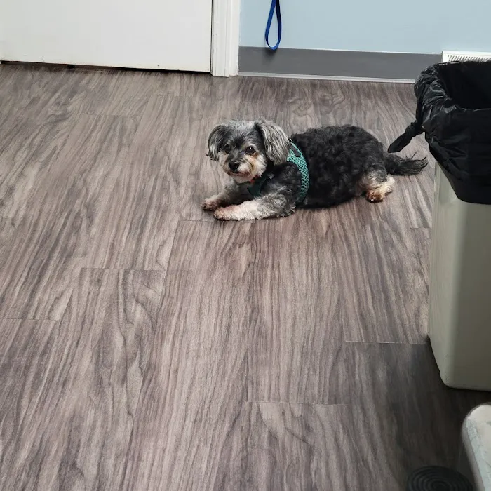 PetSmart veterinary Picture 1