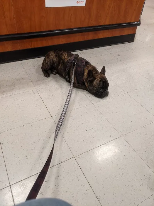 Banfield Pet Hospital Picture 3