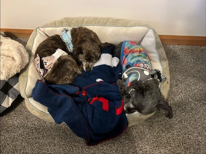 Banfield Pet Hospital Picture 1