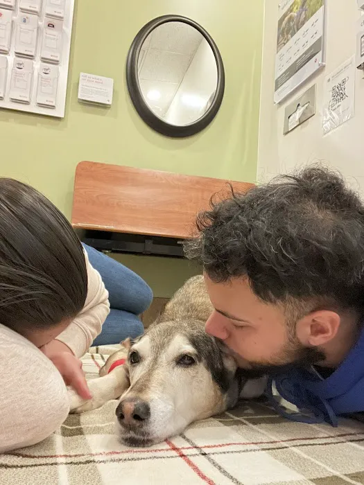 Banfield Pet Hospital Picture 9