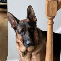 BelaCoop Animal Hospital of North Park ico