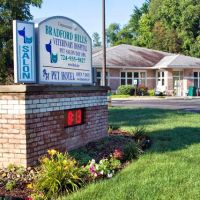 Bradford Hills Veterinary Hospital ico