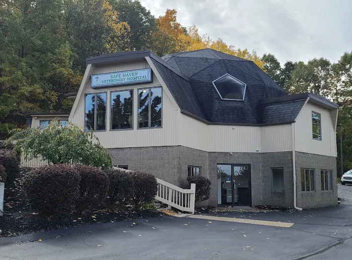 Safe Haven Veterinary Hospital Picture 10