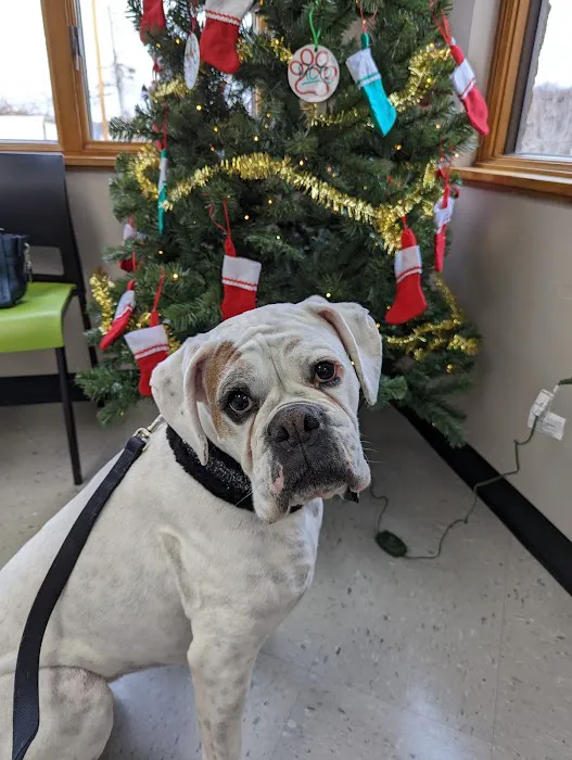 Safe Haven Veterinary Hospital Picture 3