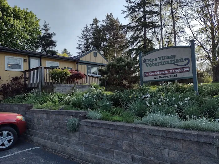 Pine Village Veterinarian Picture 2