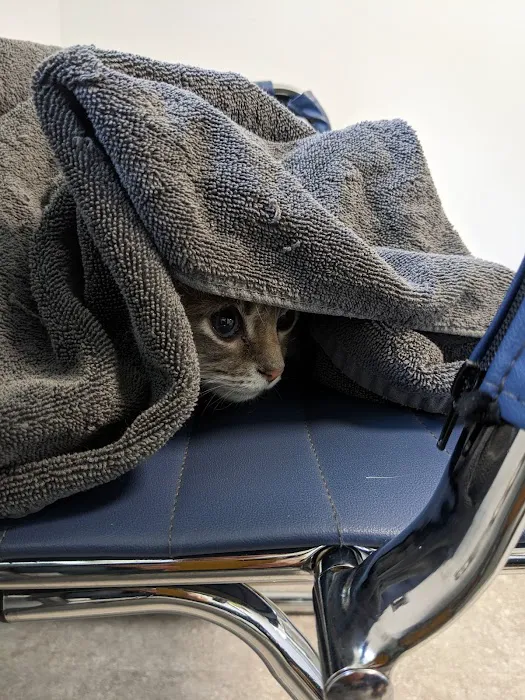 Animal Dental Clinic of Pittsburgh, LLC Picture 8