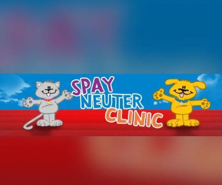 Spay Neuter Clinic: Pittsburgh - North Hills