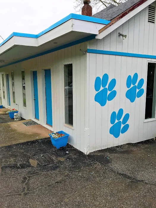 Spay Neuter Clinic: Pittsburgh - North Hills Picture 9