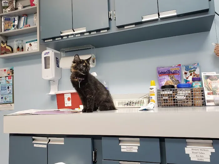 VCA Duncan Manor Animal Hospital Picture 1