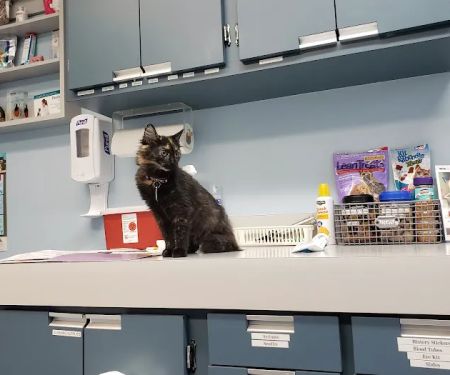 VCA Duncan Manor Animal Hospital