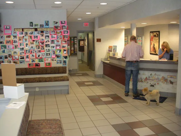 VCA Duncan Manor Animal Hospital Picture 4