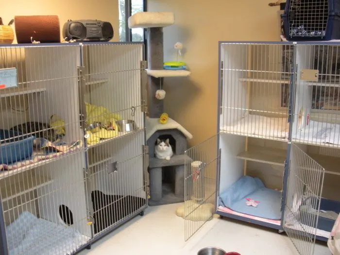 VCA Duncan Manor Animal Hospital Picture 5