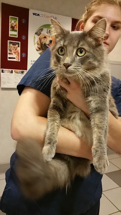 VCA Duncan Manor Animal Hospital Picture 7