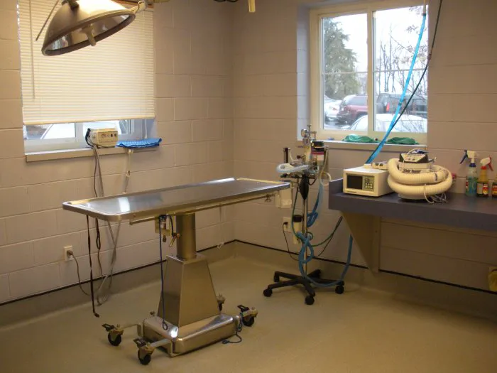VCA Duncan Manor Animal Hospital Picture 10