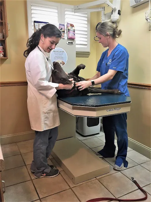 Tender Touch Veterinary Hospital Picture 2