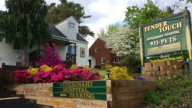 Tender Touch Veterinary Hospital Picture 1