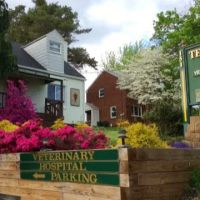 Tender Touch Veterinary Hospital ico