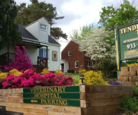 Tender Touch Veterinary Hospital