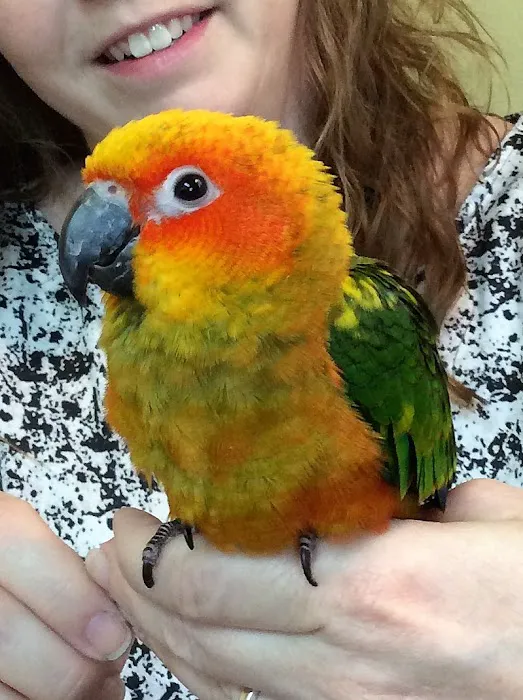 Tender Touch Veterinary Hospital Picture 6
