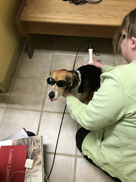 Tender Touch Veterinary Hospital Picture 7
