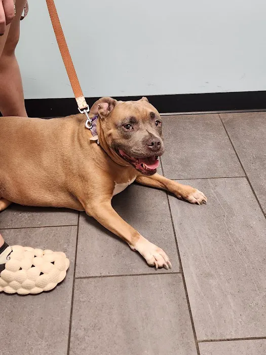 Banfield Pet Hospital Picture 5
