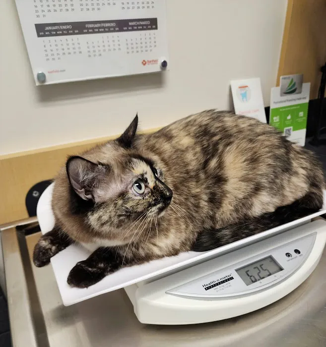 Banfield Pet Hospital Picture 7