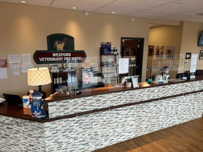 VCA Wexford Animal Hospital Picture 5