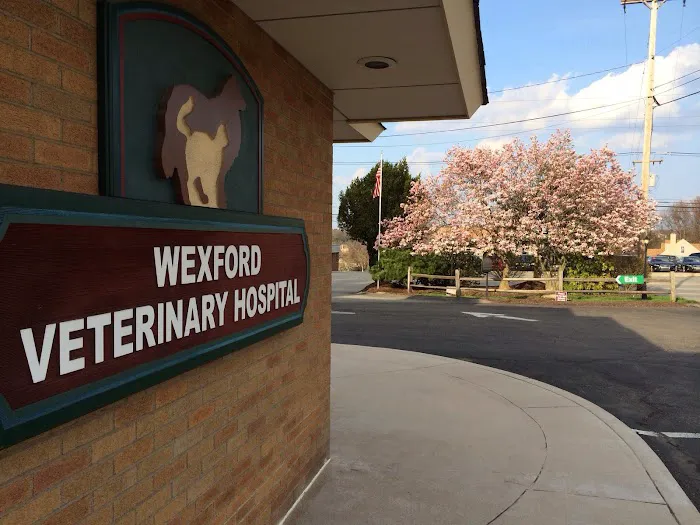 VCA Wexford Animal Hospital Picture 1