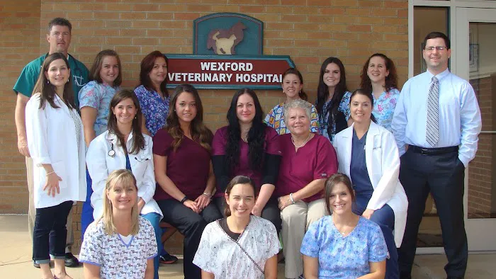 VCA Wexford Animal Hospital Picture 3
