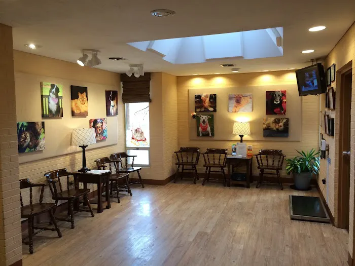 VCA Wexford Animal Hospital Picture 7