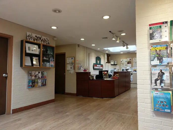 VCA Wexford Animal Hospital Picture 10