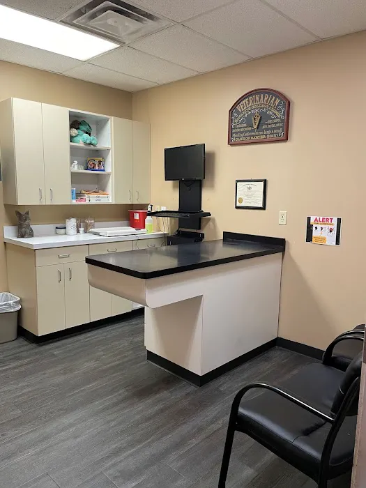 Allegheny Veterinary Associates Picture 10