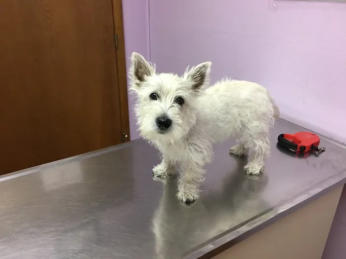 Brockway Veterinary Clinic Picture 3