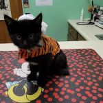 Brockway Veterinary Clinic
