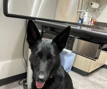 Middle Road Animal Clinic, LLC