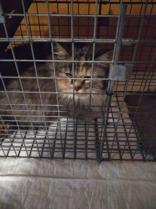 Middle Road Animal Clinic, LLC Picture 9