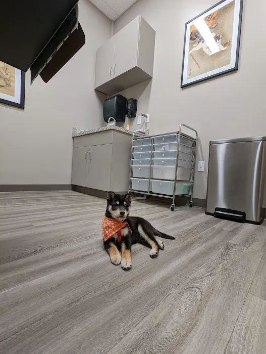 Lawrenceville Veterinary Clinic Picture 5