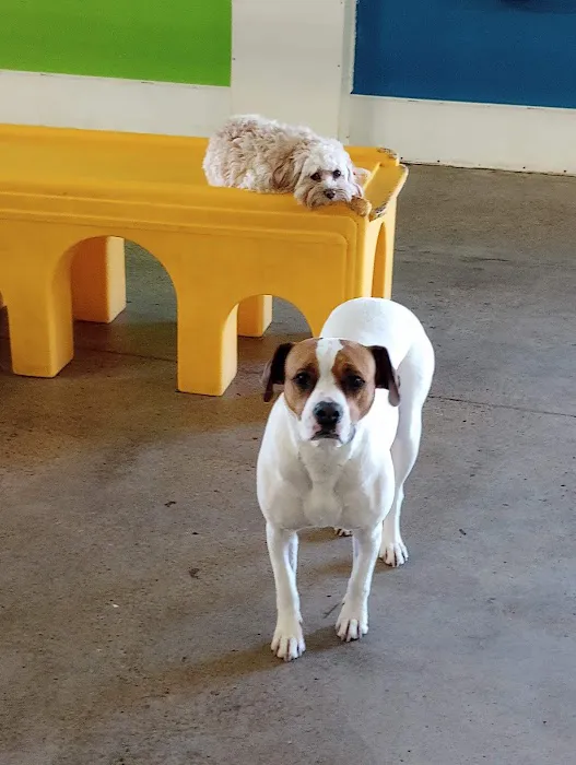 The Big Easy Animal Hospital Picture 4