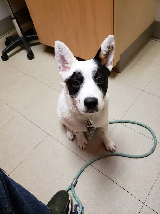 The Big Easy Animal Hospital Picture 5