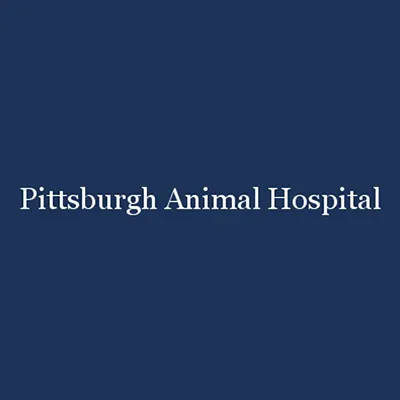 Pittsburgh Animal Hospital Picture 4