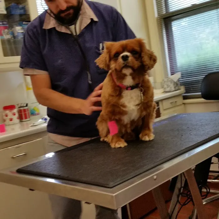 Werntz Memorial Animal Hospital Picture 6