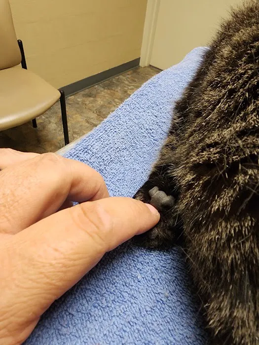 Susquehanna Veterinary Clinic Picture 6