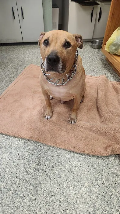 Elk County Veterinary clinic Picture 5