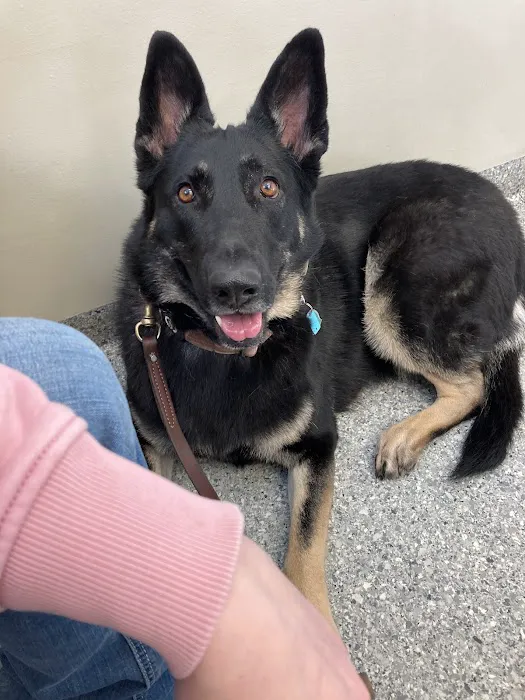 Elk County Veterinary clinic Picture 9